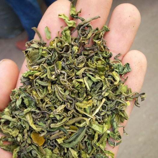 松阳县松阳香茶 三级 散装