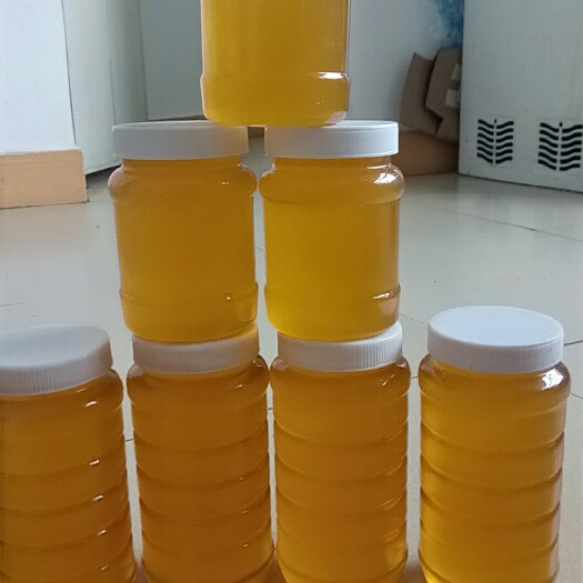 文山市土蜂蜜 我们是农村的，有蜜无市呀