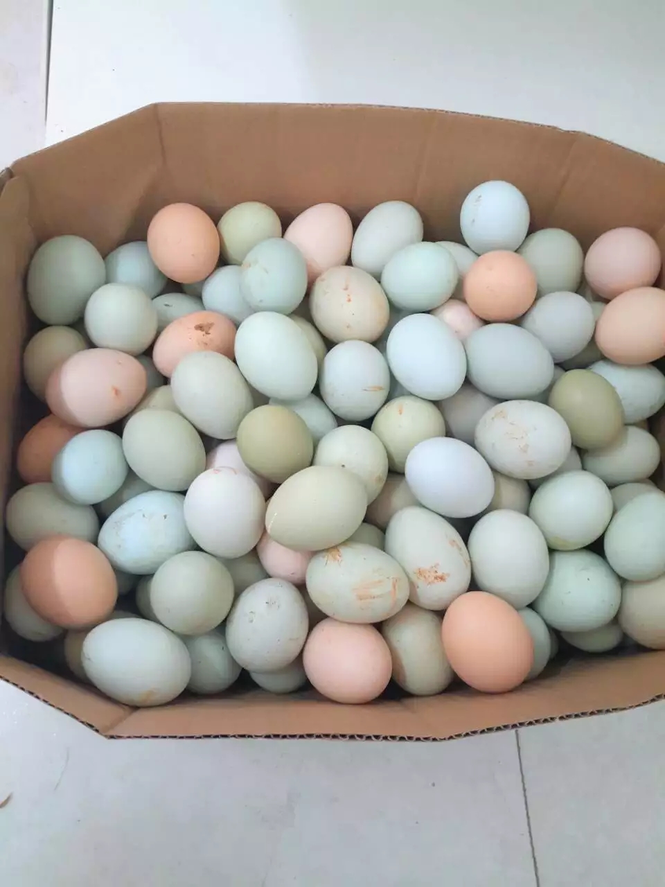 绿壳鸡蛋食用礼盒装