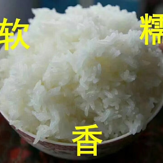 五常市稻花香二号大米 非有机大米 晚稻 一等品