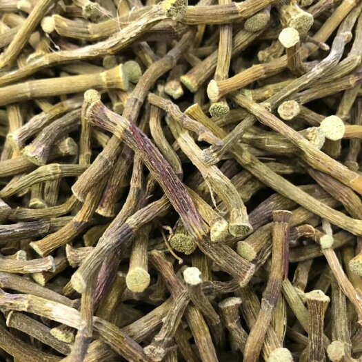 铁皮石斛 