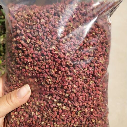 富平县大红袍花椒 花椒叶 陕西优质大红袍