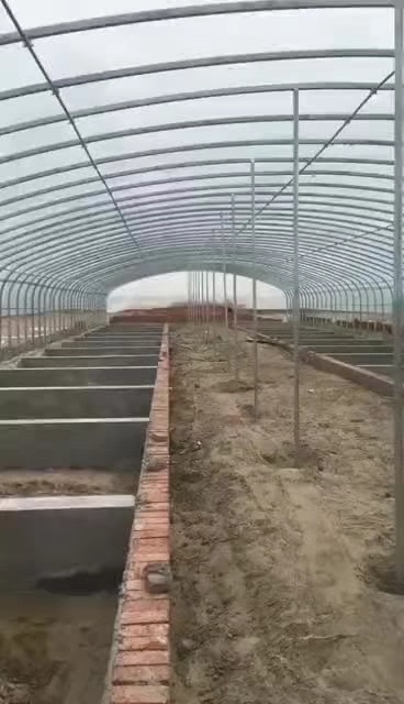 沭阳县钢管大棚