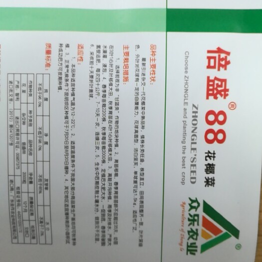武汉白面青梗花菜种子 一级良种 白面青梗松花菜种子