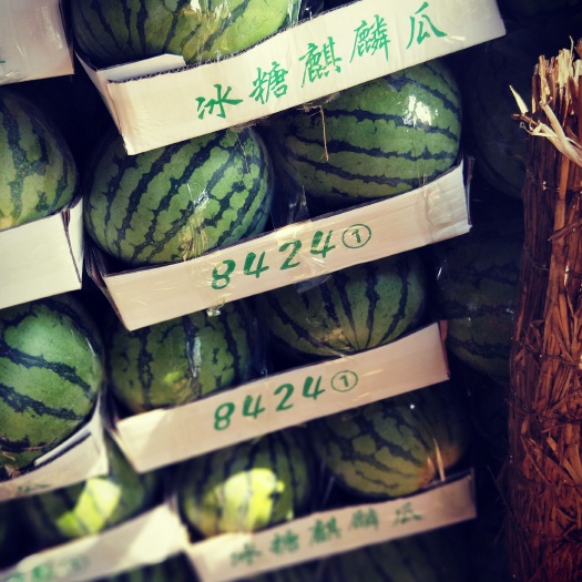 美都麒麟西瓜 7斤打底 8成熟 1茬