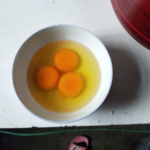 崇州市土鸡蛋 食用 箱装