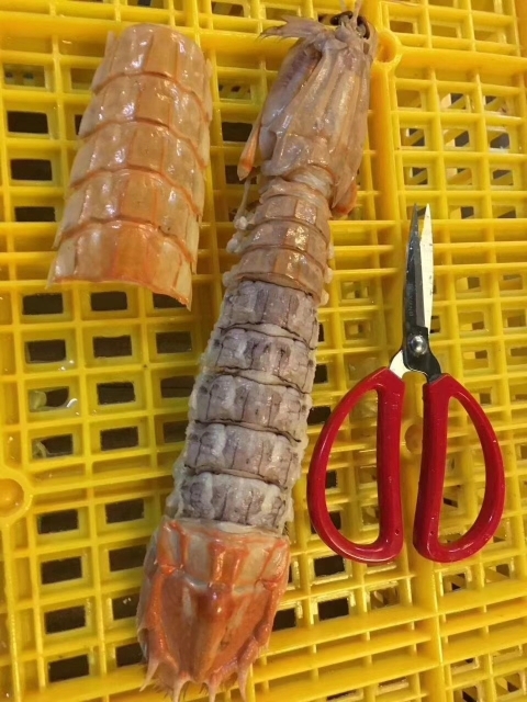 威海皮皮虾
