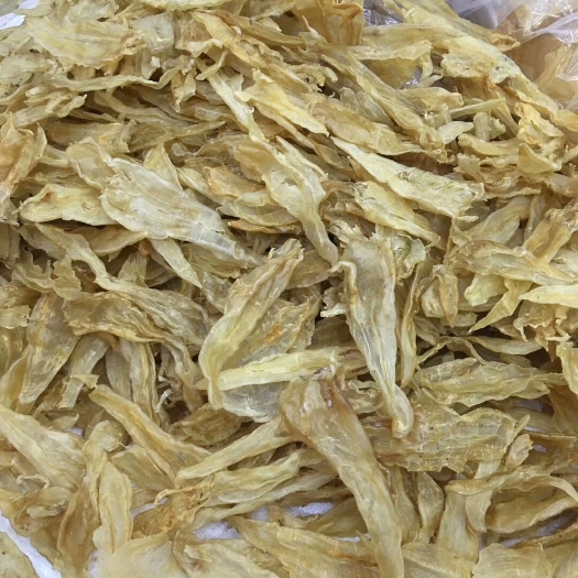 饶平县鱼鳔