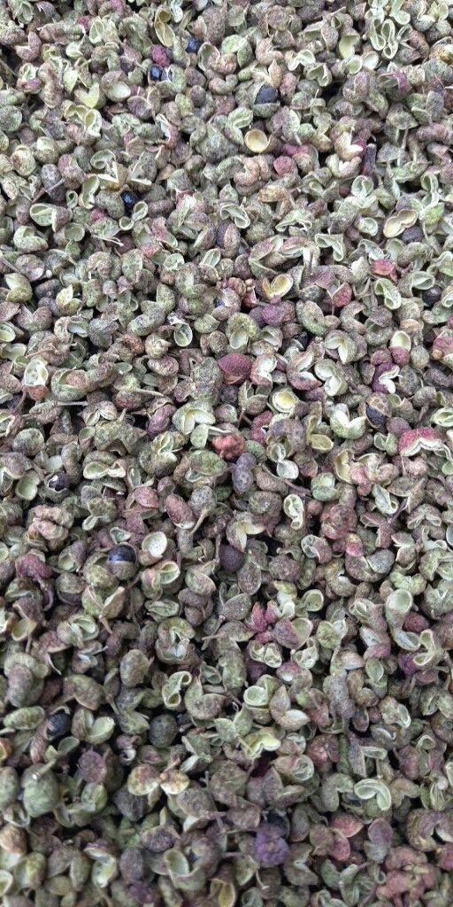 合阳县麻椒 干花椒 一级
