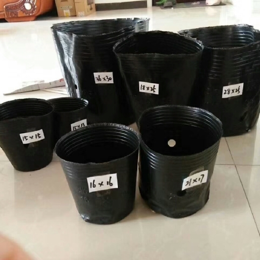 穴盘/育苗盘  营养钵育苗盆一次性花盆塑料种植穴盘营养杯育苗袋装土育苗杯