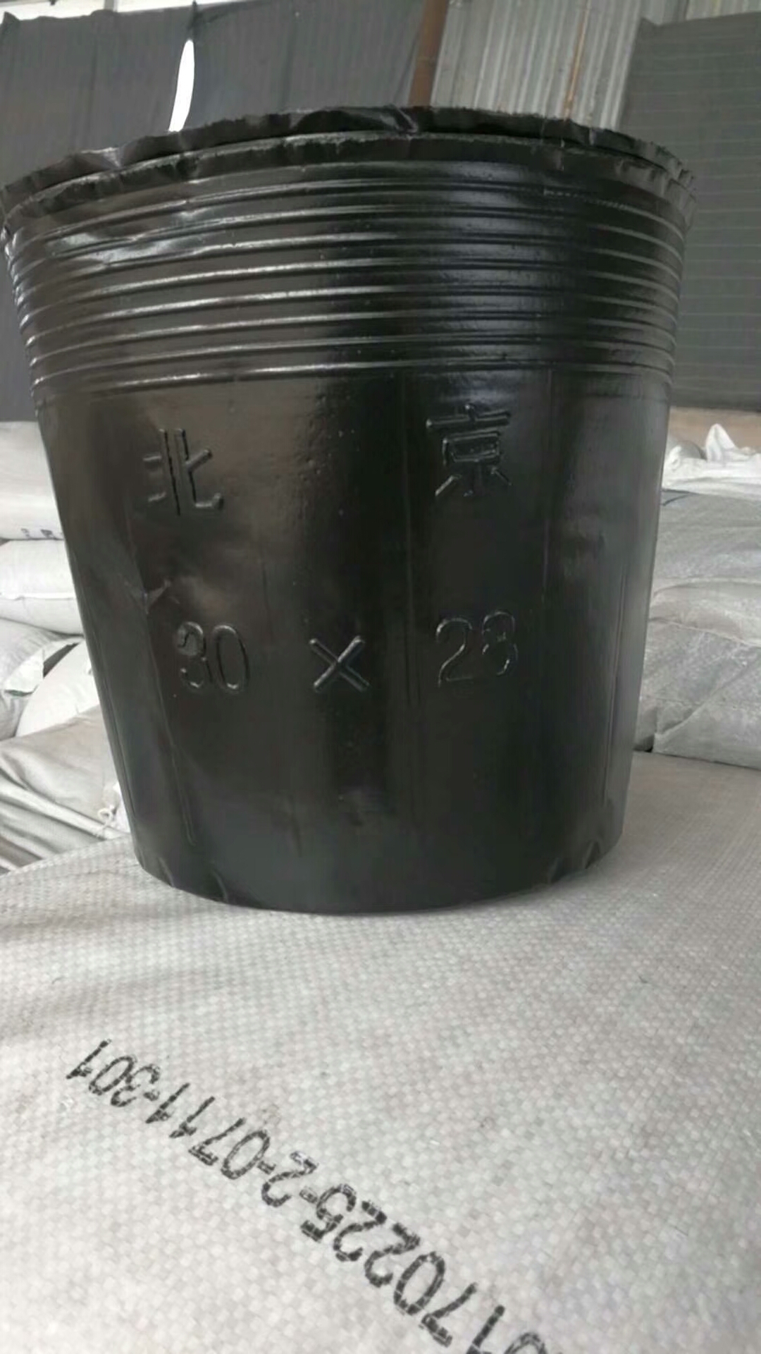 穴盘/育苗盘  营养钵育苗盆一次性花盆塑料种植穴盘营养杯育苗袋装土育苗杯