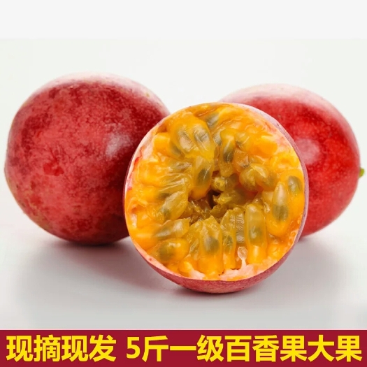 高州市紫香一号百香果 70 - 80克