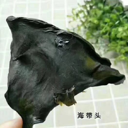 饶平县海带干 24个月以上