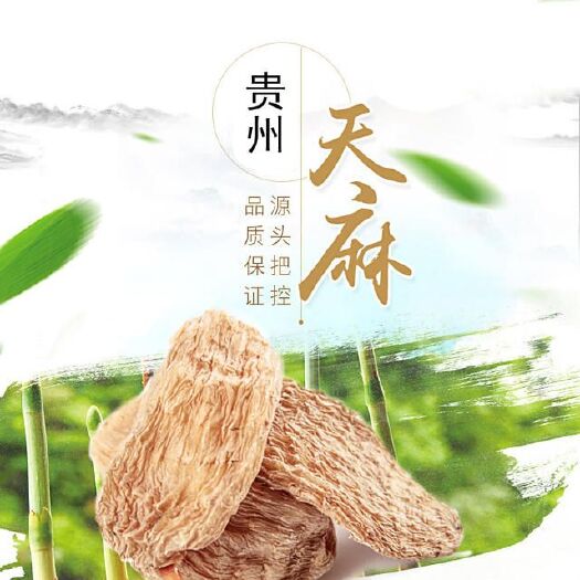 贵阳贵州天麻 