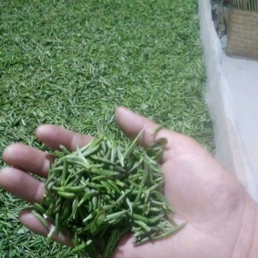 湄潭县贵州绿茶 散装 一级 