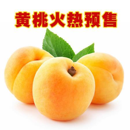 麻阳县麻阳雄山黄桃 55mm以上 2 - 3两 