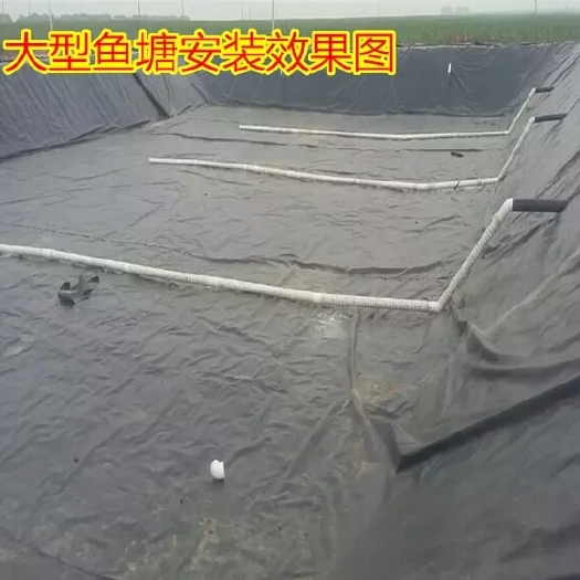 沭阳县防渗膜  黑色塑料薄膜养殖膜鱼塘专用膜鱼池防水膜藕池膜土工膜