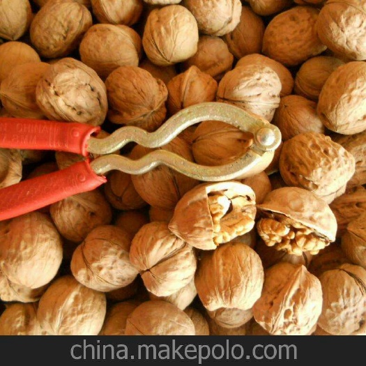 淳化县老树核桃