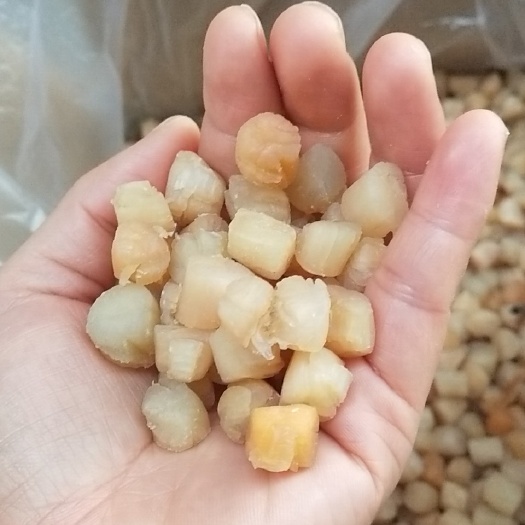 漳浦县干贝 