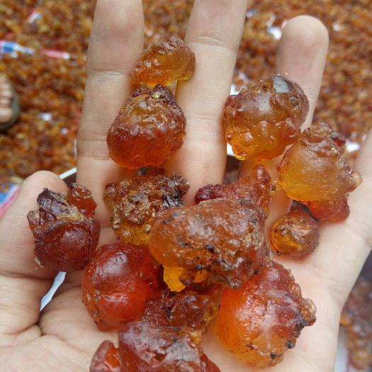 绵竹市食用桃胶 24个月以上