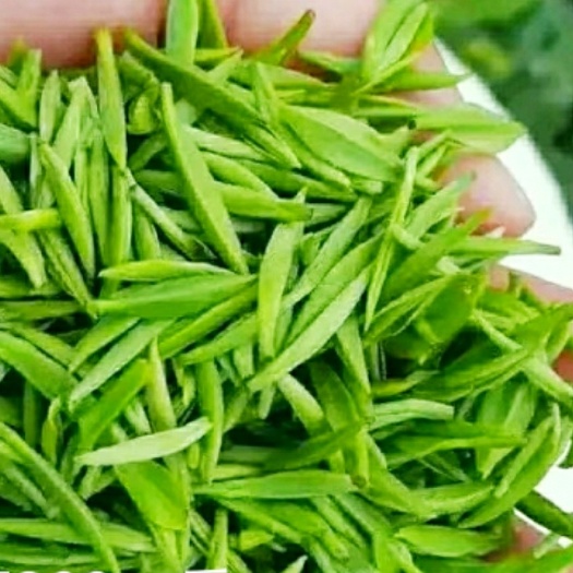 光山县高山绿茶 散装 一级