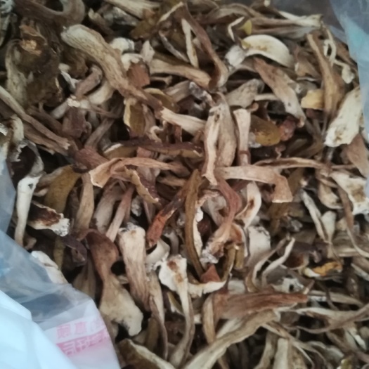 汉阴县美味牛肝菌 1.0% 一级