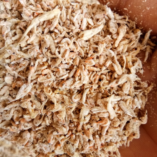 滨州虾饲料  虾粉