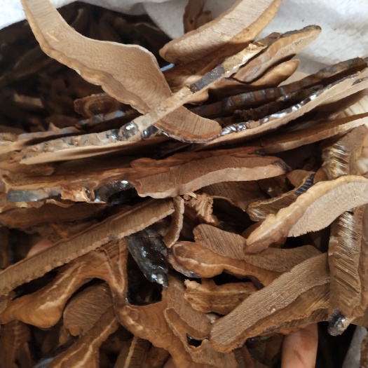 安国市批发黑灵芝片500克包邮不苦可泡水煲汤紫灵芝赤灵芝
