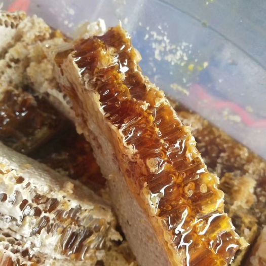 丽江土蜂蜜