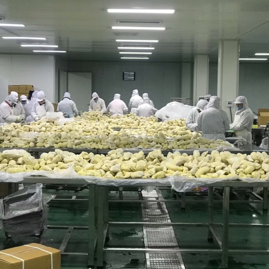 郑州 泰国金枕头冷冻榴莲肉，去核金枕头榴莲肉