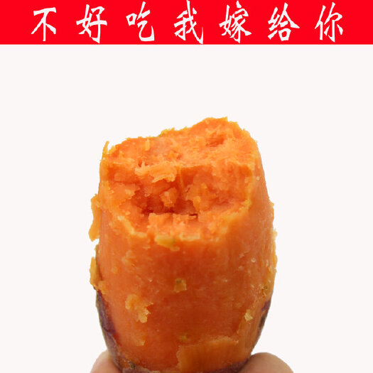  【2019新薯*六鰲紅薯大薯五斤裝】大葉紅紅蜜薯六鰲紅蜜薯