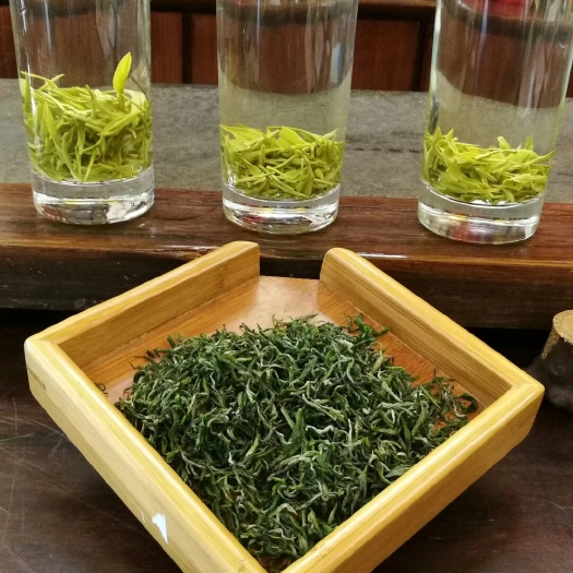 保靖县茶青 散装 一级 