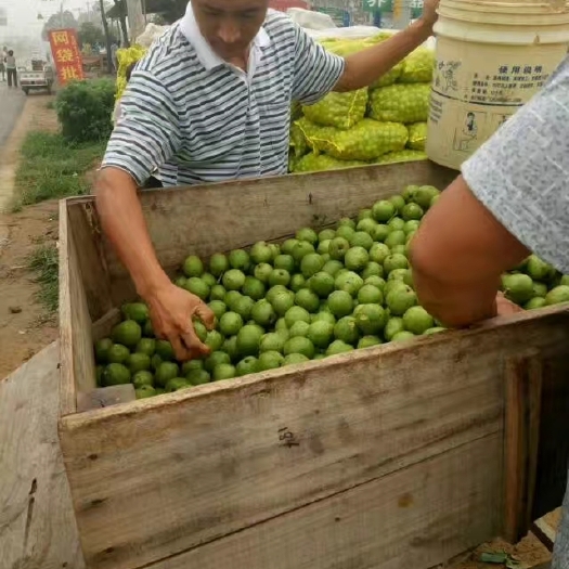 赞皇县青皮核桃