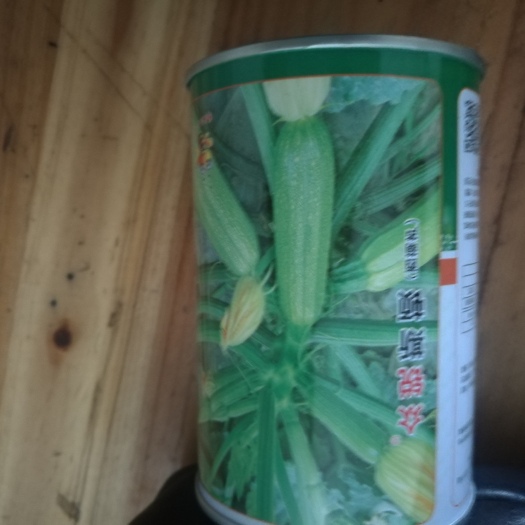 武汉西葫芦种子