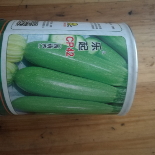 武汉西葫芦种子