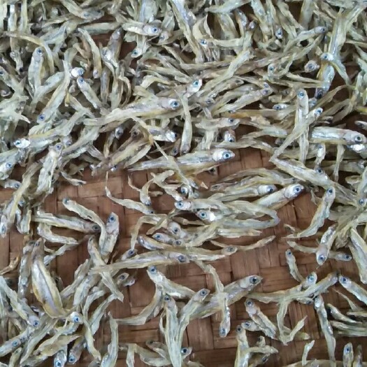 廉江市小鱼干 1个月