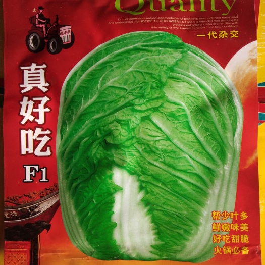 沭阳县小白菜种子 杂交种 
