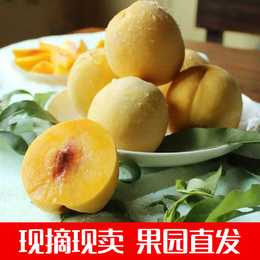 炎陵县 果农自销黄桃，带证书！货源充足！