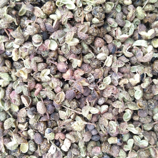 滕州市大青颗 干花椒 一级 青花椒 干花椒 一级
