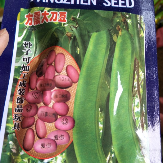 沭阳县蔓生刀豆 10-15cm 