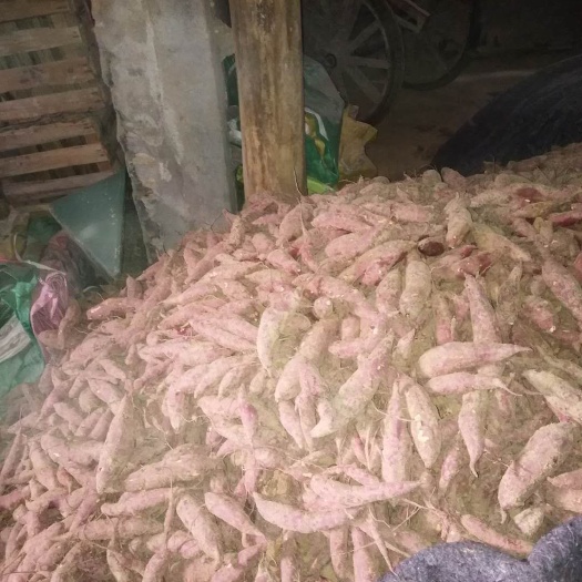 衢州心香红薯 红皮 1~3两