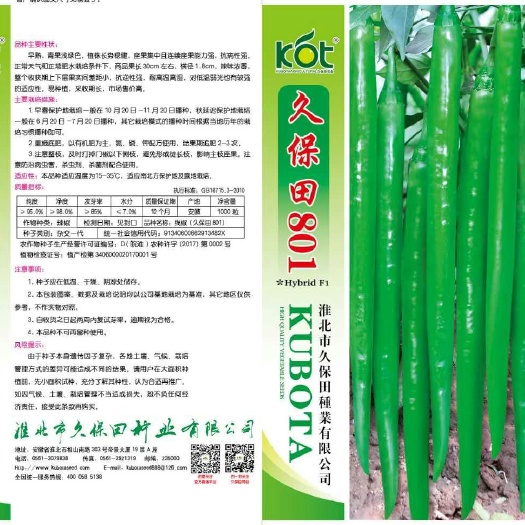 淮北线椒种子 8号辣椒