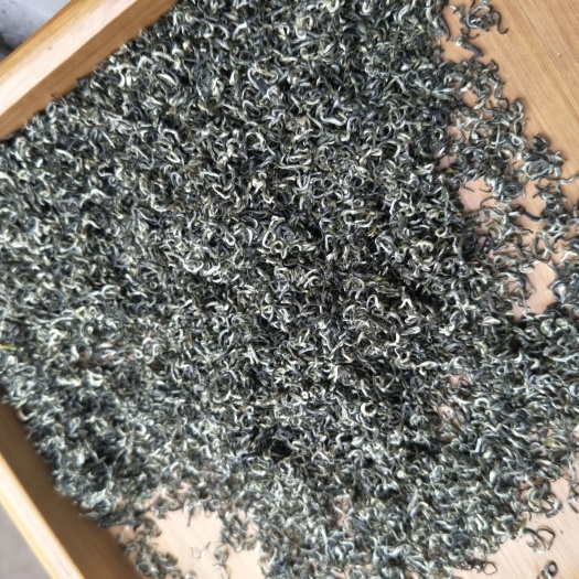 雅安碧螺春 散装 特级