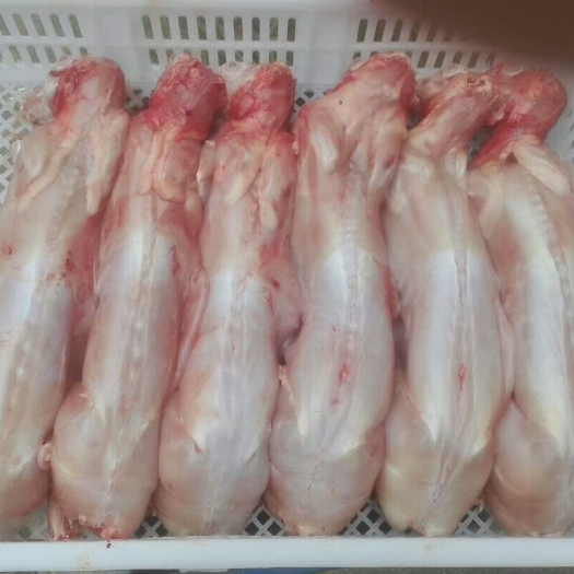 新沂市 接单现杀新鲜兔肉