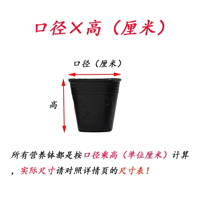 育苗袋/育苗杯/容器袋  营养钵育苗盆种植穴盘塑料营养袋育苗袋一次性花盆营养杯育苗杯