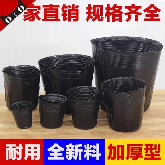 沭阳县育苗袋/育苗杯/容器袋  营养钵育苗盆种植穴盘塑料营养袋育苗袋一次性花盆营养杯育苗杯