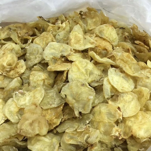 饶平县鱼鳔 