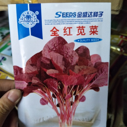 沭阳县苋菜种子 