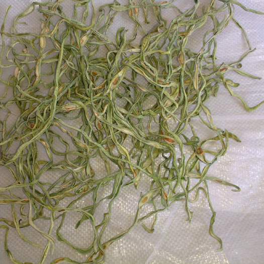 蔚县新货架豆王干豆角丝，干豆角，腌肉馆专用