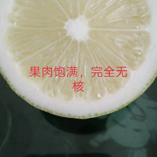 灵山县香水柠檬苗 
